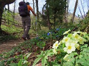 02 Sui sentieri tanti bei fiori